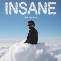 Insane (Radio Edit) - Single - TwelveeAM