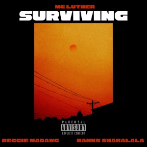 Surviving (feat. Reggie Madawg & Ranks Shabalala)