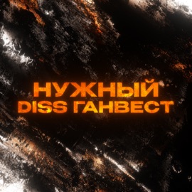 DISS Ганвест Нужный