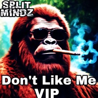 Don't Like Me (VIP) - Single - SPLIT MINDZ
