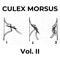 c3 - CULEX MORSUS lyrics