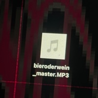 bieroderwein_master.mp3 - Single - NIKE101 & Rotweincanim
