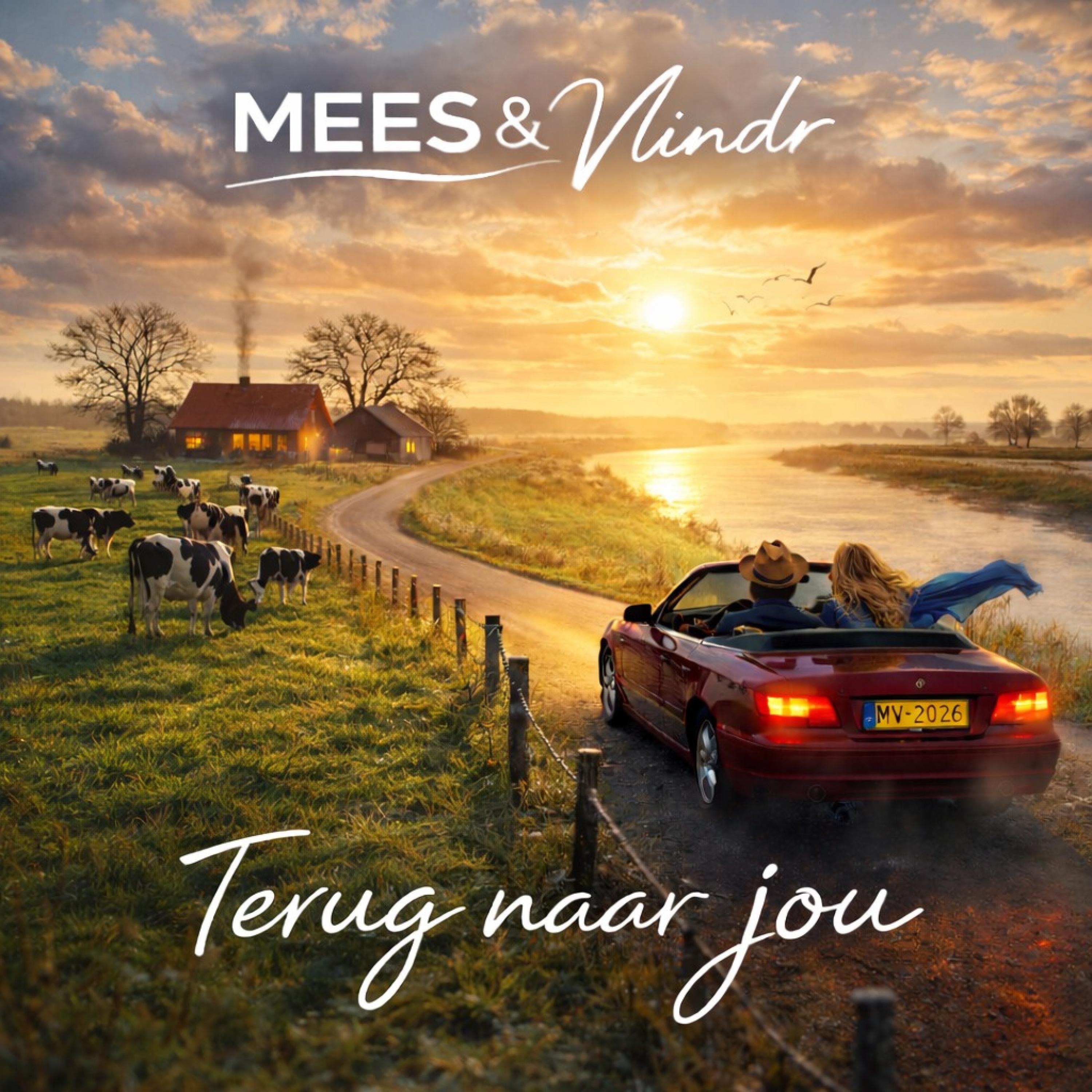 Terug naar jou - Single