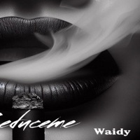 Seduceme - Single - Waidypr