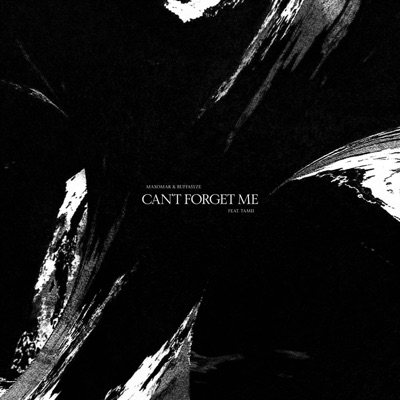Can't Forget Me - Single