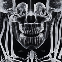 Voce - Single - Meths