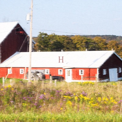 H (feat. Insufferable) - Single