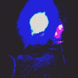 FREIFLUG GUBAR & Koli