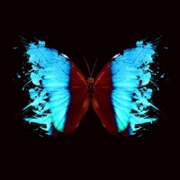 Brutal (feat. Skana Beats) - Single - Lavito Beats