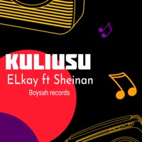 Kuliusu (feat. Sheinan) - Single - ELkay