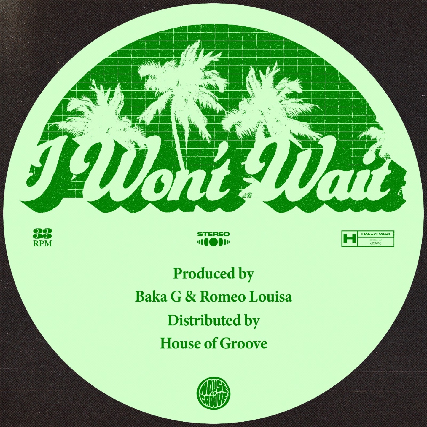 I Won't Wait - Single