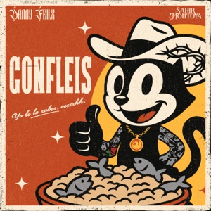 CONFLEIS