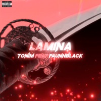 Lâmina (feat. Faunnblack) - Single - Tonim