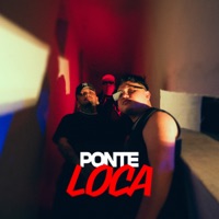 Ponte Loca - Single - Don Alberici, Akup & El Sucio Dan