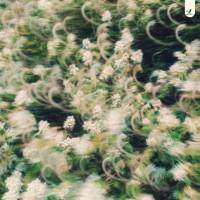 Violet Fade - Single - Senn