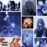 Discografía 2005/2025 - Karne Palta