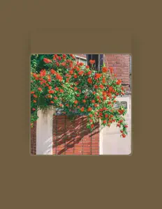 Listen to LIKPIA, watch music videos, read bio, see tour dates & more!