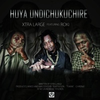 Huya Undichukuchire (feat. Roki) - Single - Xtra Large Maroja