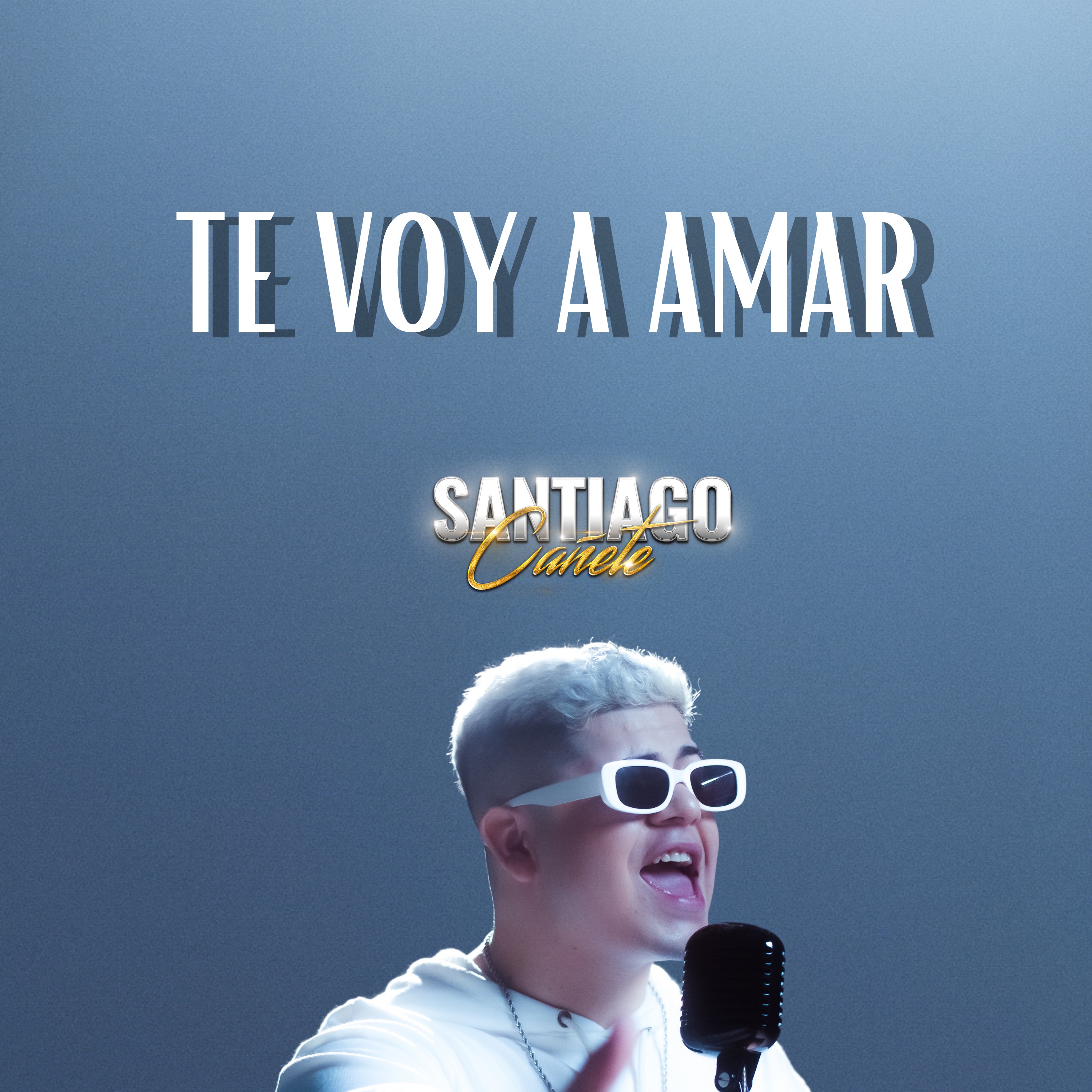 Te Voy Amar a Amar - Single