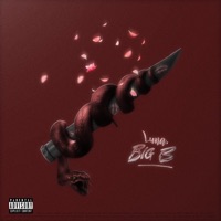LUNA - Single - Big Bitches