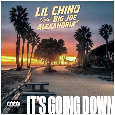 Its Going Down (feat. Big Joe & Alexandria) - Single