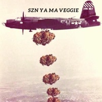 szn ya ma veggie - Single - Mr chants