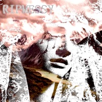 my money - Single - ripmessy