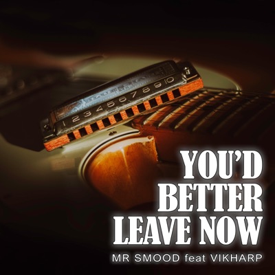 You'd Better Leave Now (feat. VikHarp)