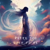 Where You Used To Be - Single - Vahid Mahdiun