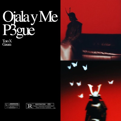 Ojalá y Me P3gue (feat. Gasara) - Single