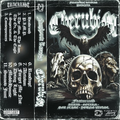 CHERUBIM (feat. Gollum, HGK $LiME, Young $avage & Druid)