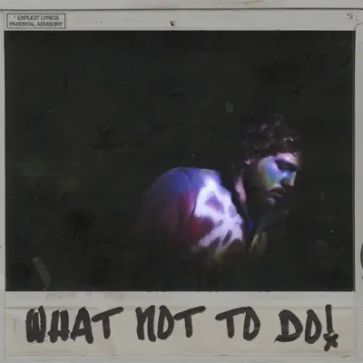 Springheist adlı sanatçının What Not To Do! - EP albümünü dinle