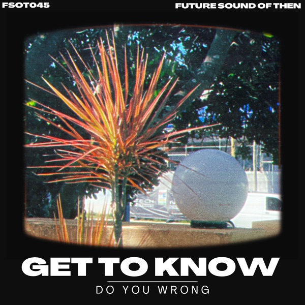 Do You Wrong - Single