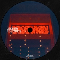 Next Door - Single - Freydel & Nic Lorenz