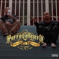 Perro Callejero - Single - Gramex & Fume871