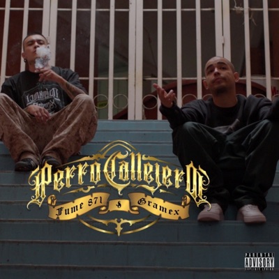 Perro Callejero - Single