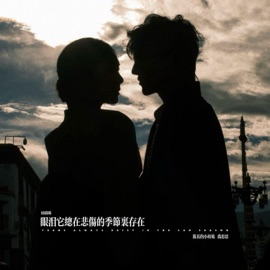 眼泪它总在悲伤的季节里存在 (说唱版) 队长的小斑鸠 & 乔思思