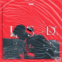 LOVE, SEX & DRILL - Roam