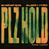 PLZ HOLD — Austin Millz & Snakehips