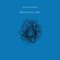 Birdy - Alex Nickmann lyrics