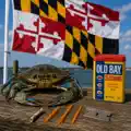 She's From Maryland