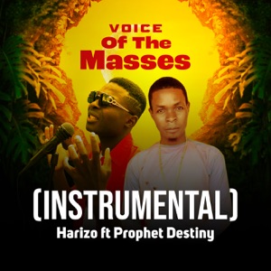 Voice of the Masses (Instrumental) [feat. Prophet Destiny]