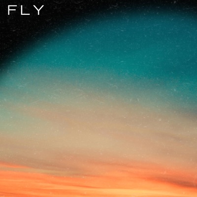 Fly - Single
