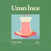 Uzun Ince artwork