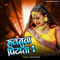 Majanuwa Pirata 2 - Single - Anup Mishra