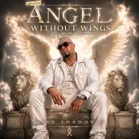 ANGEL WITHOUT WINGS — DARK SHADOW X