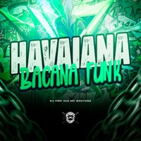 Havaiana Bacana Funk - Single - MC SANTOSZ