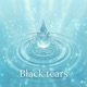 Black tears feat Rina Single