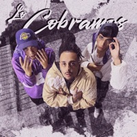 Lo Cobramos (feat. Sneaky OTB & Guxxisoho) - Single - Death Rose