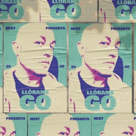 Llórame (feat. Go) Mist